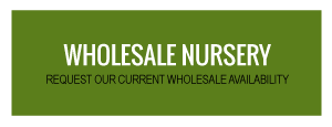 Commerical Landscaping and Wholesale Nursery